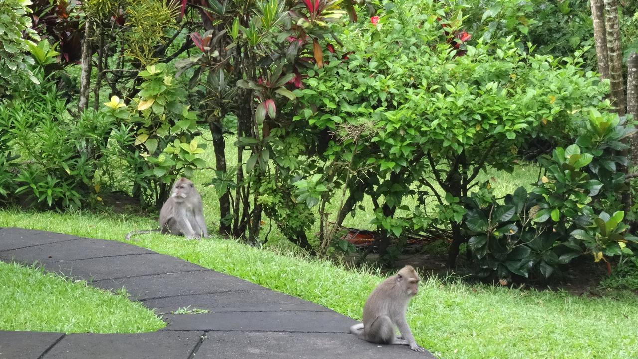 Wenara Bali Bungalows Ubud Exterior foto